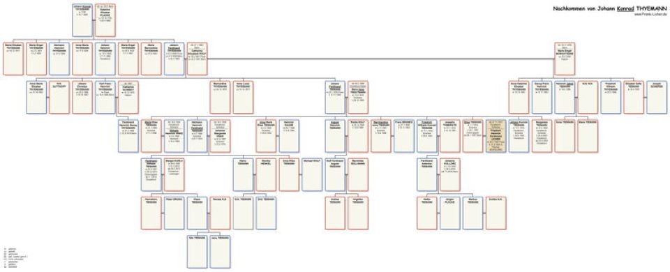 Die Nachkommen des Stammvaters Johann Konrad Thyemann (1790-1848)